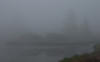 Mist on the Swamp